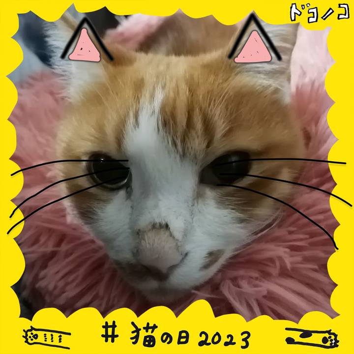 57486c3a 9f5f 4ef8 a968 d2ecbde07913 1677018493921