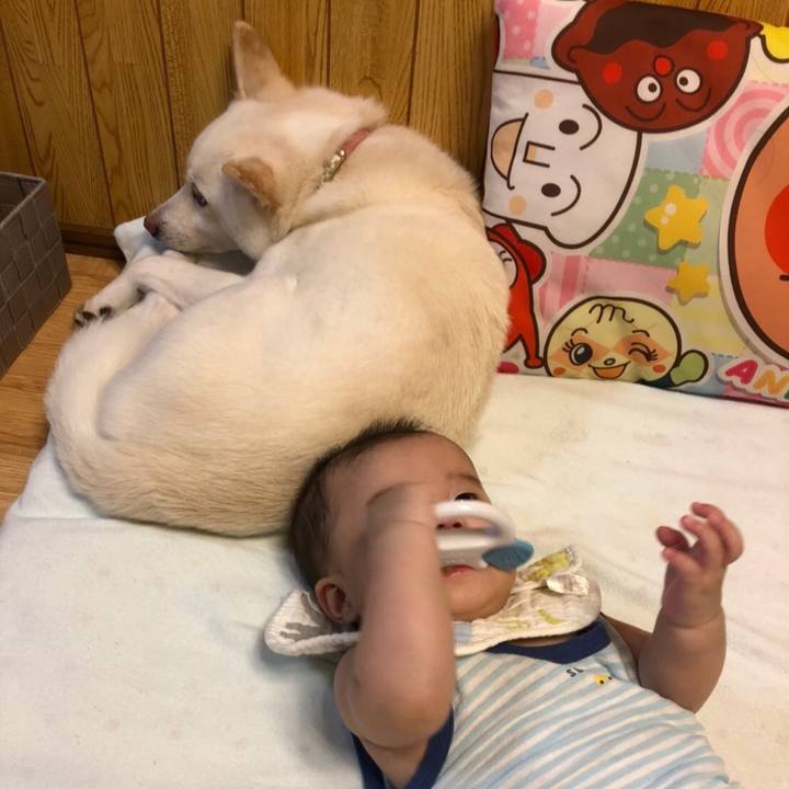 5748bd58 064b 40fa a12e 3cb18b91bd0f 1596620029515