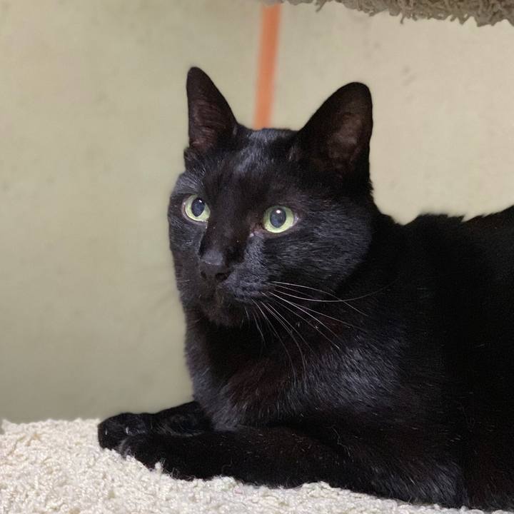 5748c73b 204e 4f26 a8ff df576d23ebbf 1580865846800