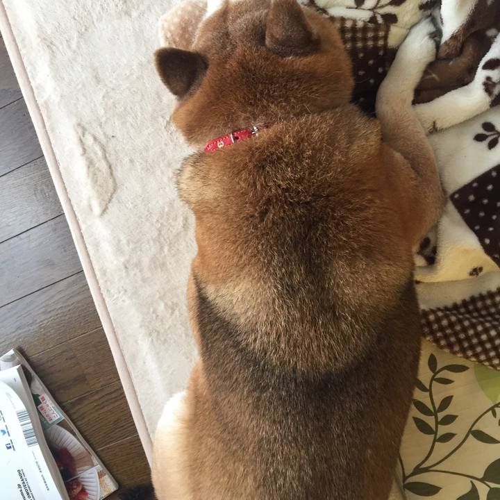 5748ce84 7912 4cab b4bb a8ee9cd161ae 1517026955936