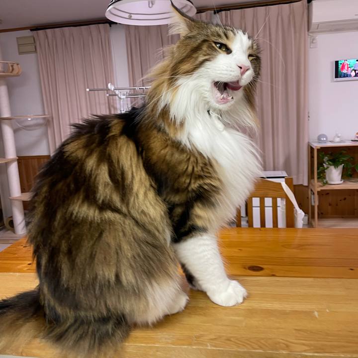 5748ea65 c7fc 47a5 8b02 179122de3e5a 1672349301829