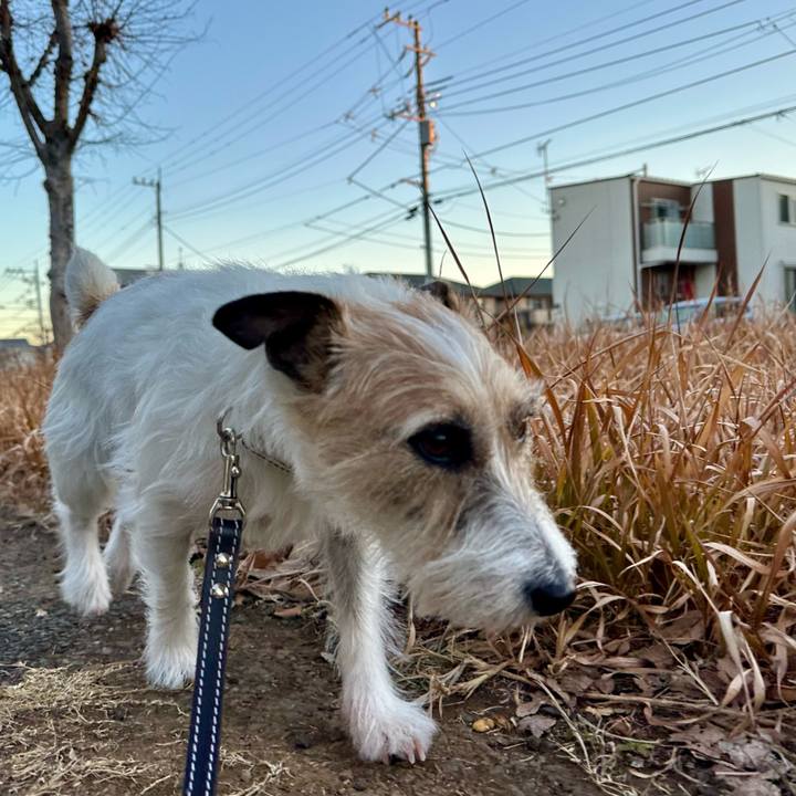 57498bce 4a6c 46b2 b292 348a1b6ede45 1736817709749