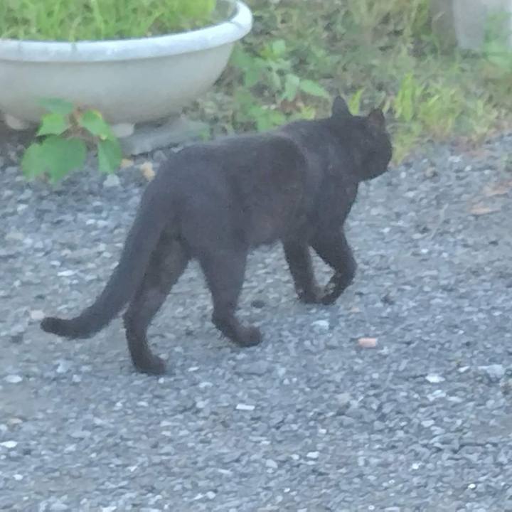 574994ff 7cc5 489e af49 0d33c2a60a15 1664506039684