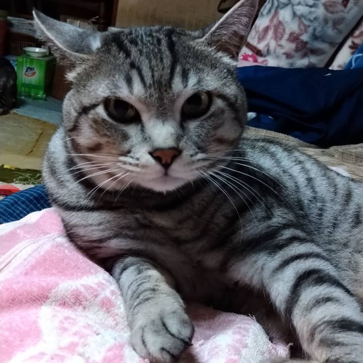 5749a758 138c 45f0 8fc6 830cdd7b0f8b 1674036603448