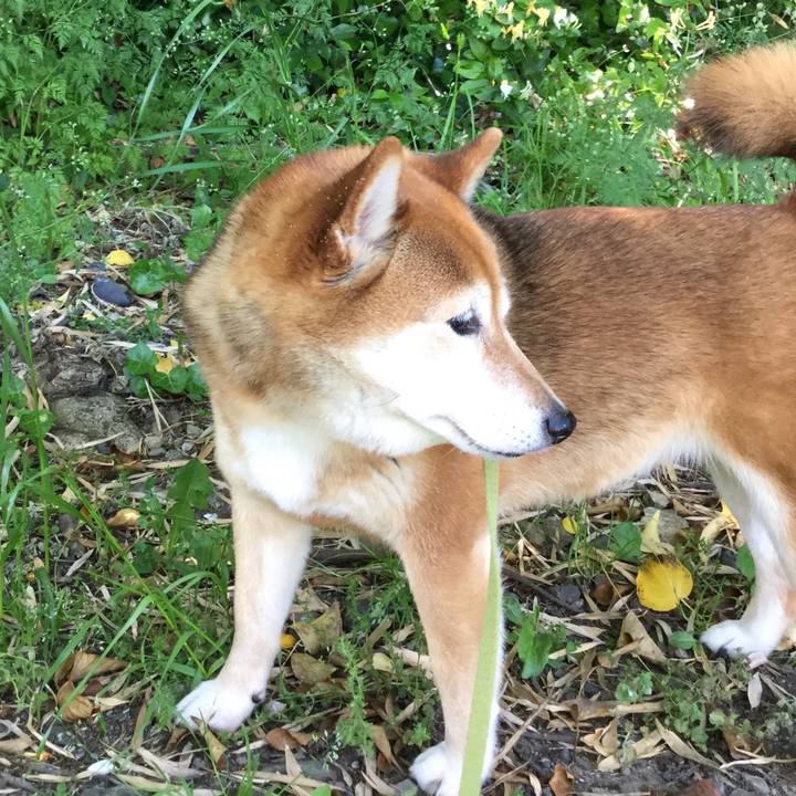 5749babb 31f6 44be bd75 6b213620840d 1589431727686