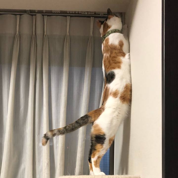 5749c03b ed82 45bf b63f f040bc1db0b2 1600354822782