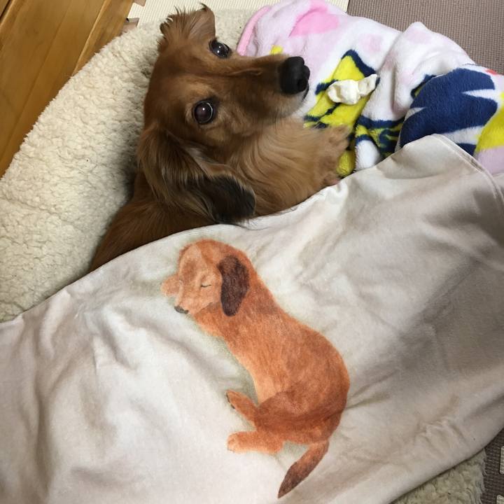 5749dca4 53e9 4b9f 9bbb 26c4e556a745 1554302214916