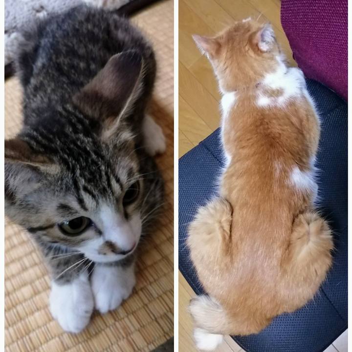 574a6a2c 3abc 4bfc b22f 817b9b05b941 1659910975310