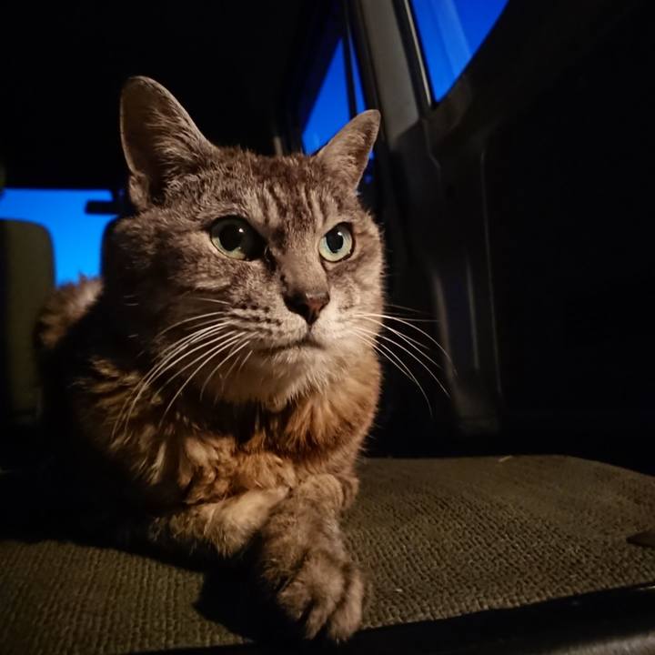 574a6f60 3889 42eb 973e 8be1c3e8416a 1566813418173