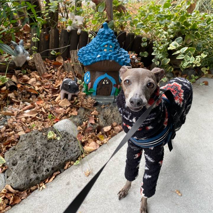 574a9c74 4343 4b28 b619 c7fb8784b453 1764388835379