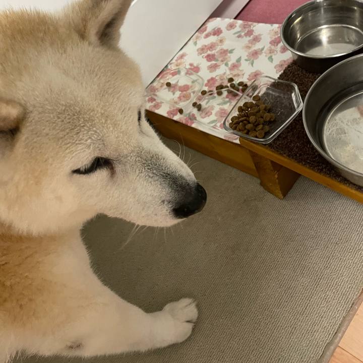 574ad0f5 5297 4988 bbfa be4fc668e788 1680821449893