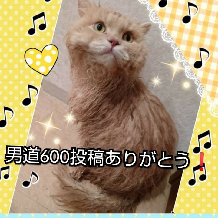 574ae794 dfe5 4b0a 921a aee5eee2ef1a 1557070338286