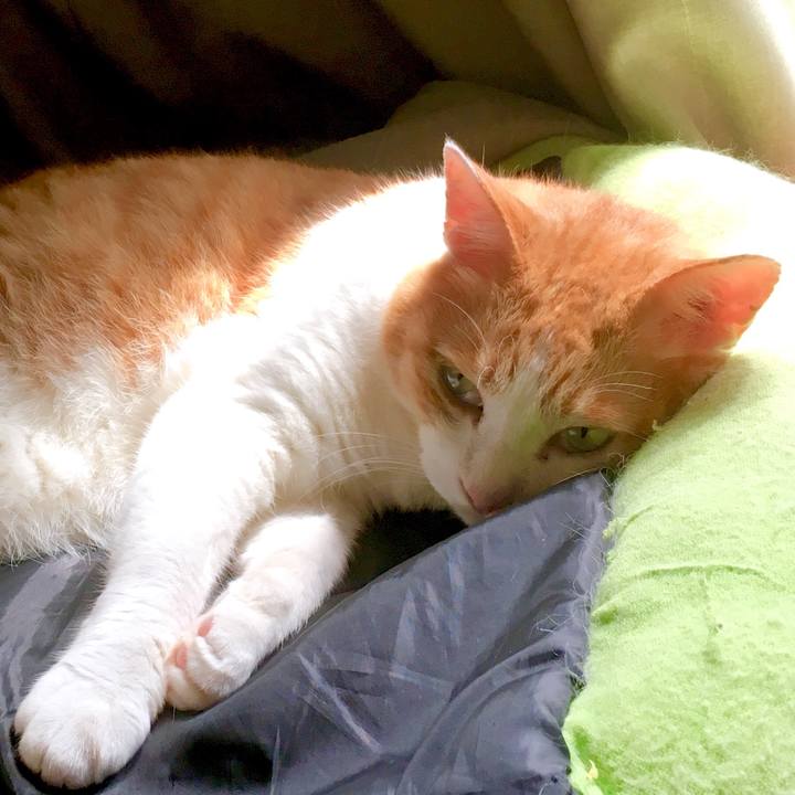 574b130c 2a96 4c44 88dd 39060d71e3dd 1564128266554