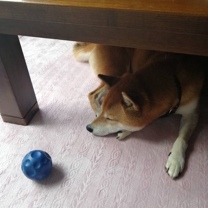 574b2a65 0004 413e a67a e6c40de61c01 1668319033622