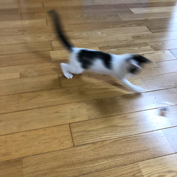 574b3226 42bf 4e5b 9a2b 3128c1969012 1562023904590