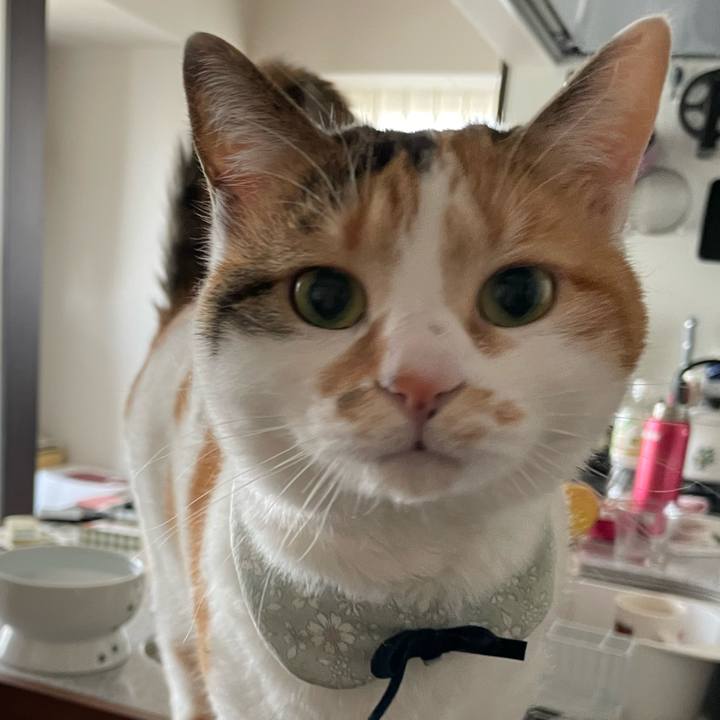 574b8c1d fdfd 4e21 99ef 4667facde5e2 1678527584746