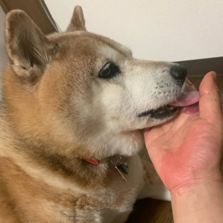 574ba3ba cab1 4680 9770 c1bb97f9c057 1589981902711