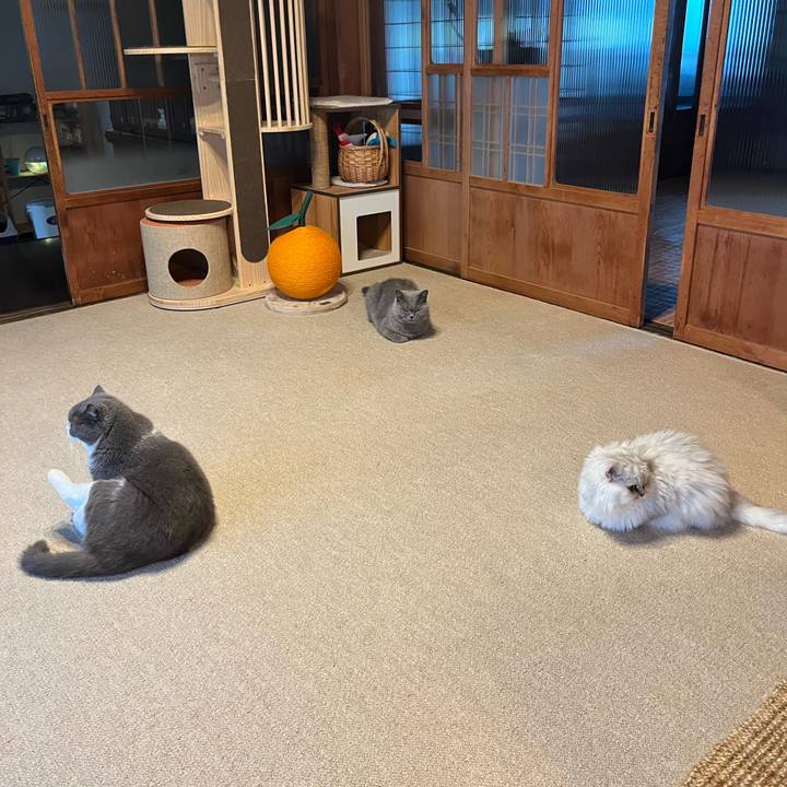 574c0c65 6354 42f5 a544 1fecd651fcb8 1725623007842