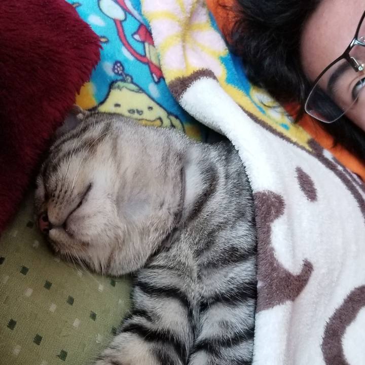 574c3458 3772 49e5 be4d b9856126f22d 1671964277705