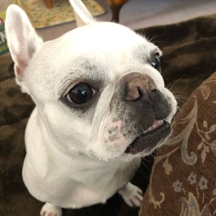 574c38d6 d78d 4920 b64a 35f3d9d0c2fa 1581738423832