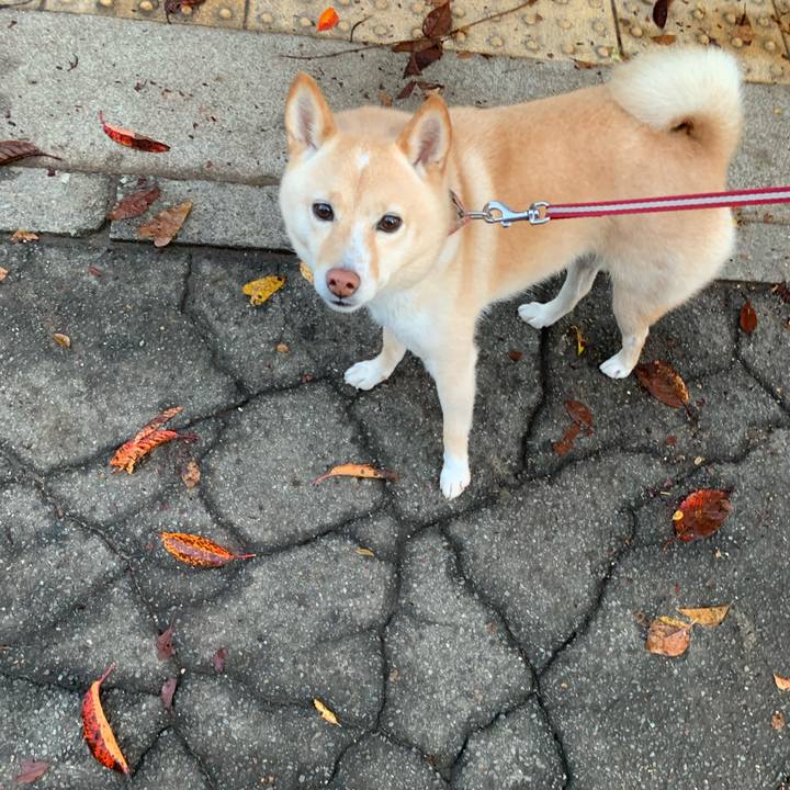 574c4bdd ac1b 48d0 ba12 f7d0e952447c 1636504083516