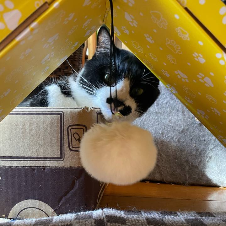 574c5a83 8cdd 4421 ab1c deb8ab04271e 1690245081113