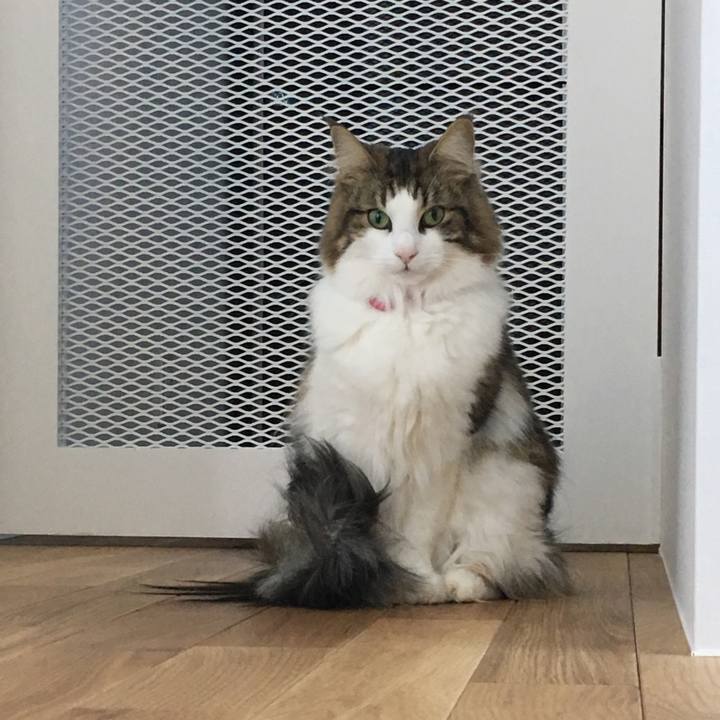 574c5aad 7eaf 43a6 a0de 49c4647dff00 1515628722035