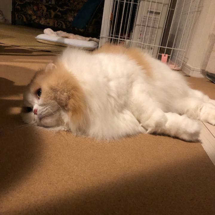 574c8182 2ba4 4ad5 a2f1 6ad3adb59719 1676040034232