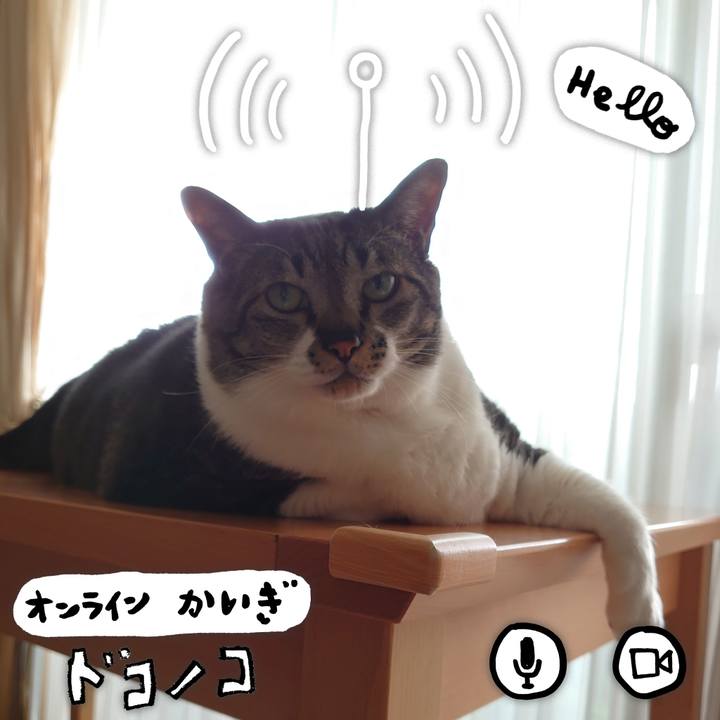 574c8bc9 9494 44d5 8b76 fc370ccccc18 1590724657995