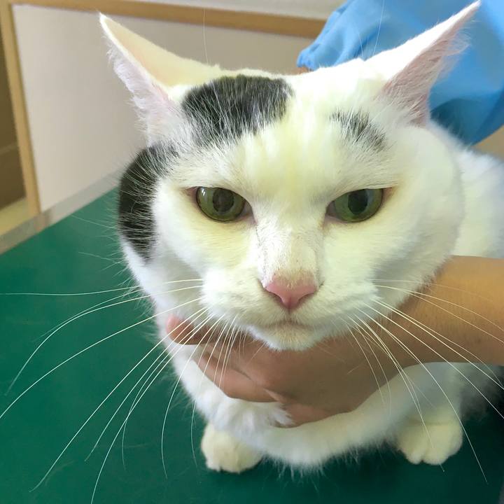 574cafc0 1791 45e6 949b ffb5d9064b07 1601713480662