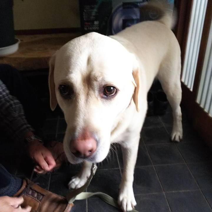 574cceb1 1c35 48bc b304 27a30de6d47b 1574405164196