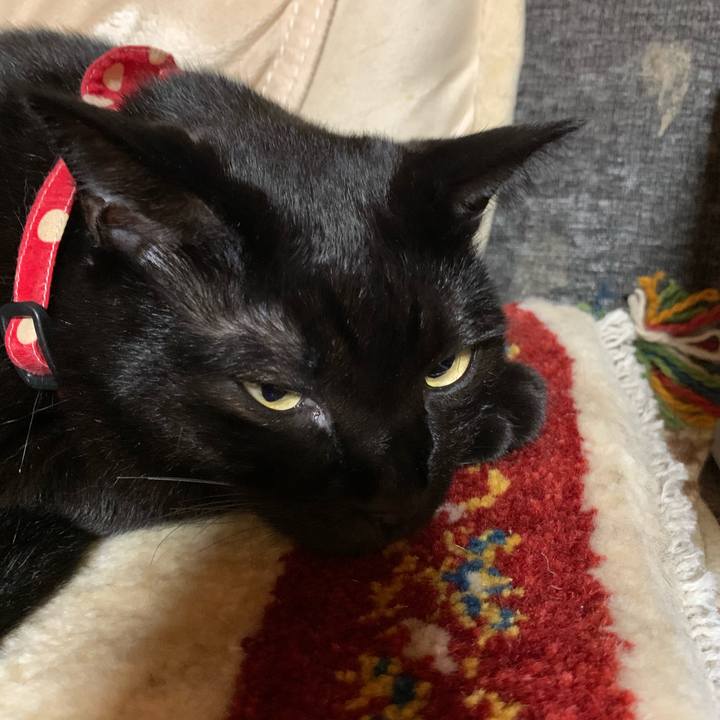 574ceb43 384a 4bdb a7b3 c047bfec9d8f 1570881408538