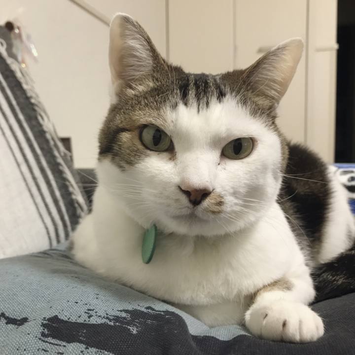 574d3c55 aecf 403c b86a 8e601417e959 1550630376815