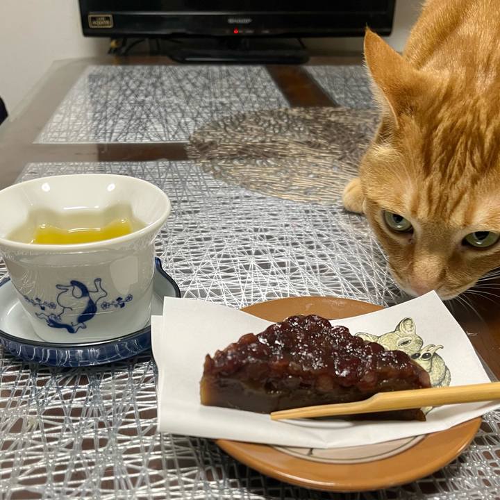 574d4e3f ece0 4e2c 9696 073f78f55cb3 1656247199401