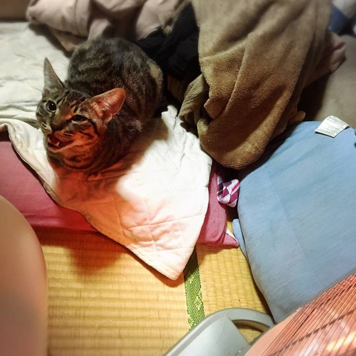 574d5a5a 0172 471b 83ee 9f6bc4b561d9 1542897103690