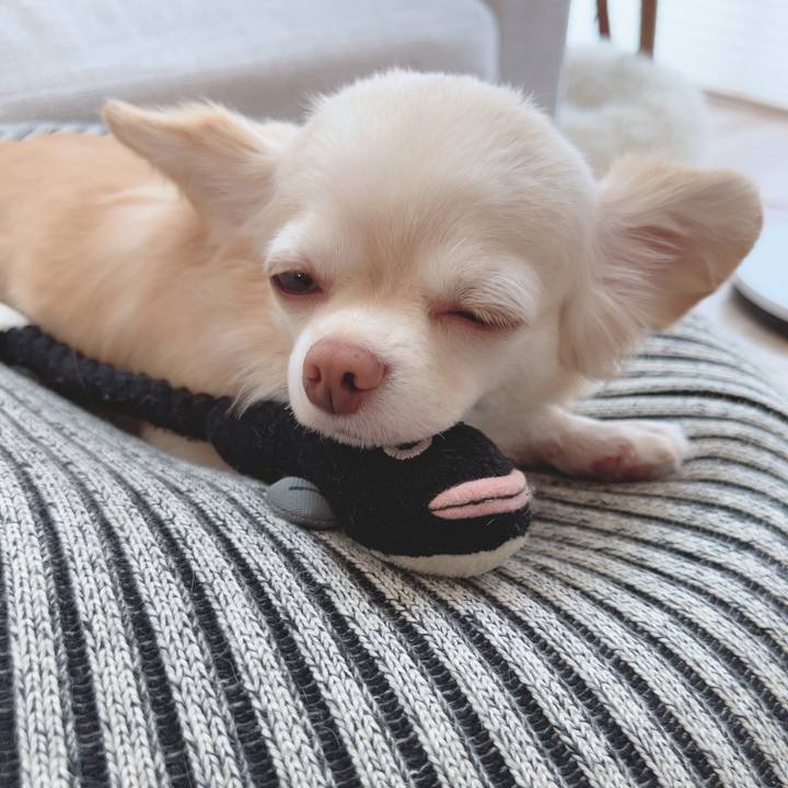 574d6ad7 5f8f 48ab a26a f70950049177 1690682903016