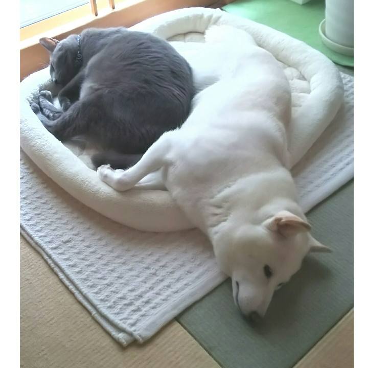 574d6d36 e5f7 4621 a67f a11f96cb85aa 1568167225559