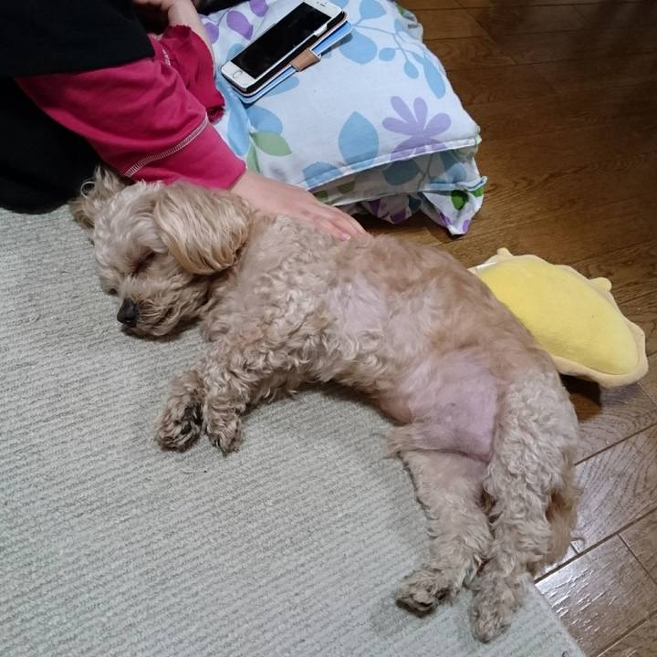 574d7abe dd7c 4ade b2d8 b57435cf0953 1558273906880