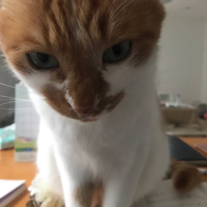 574d9ec2 6a3e 48f0 a324 e5013e9ca752 1616893171359