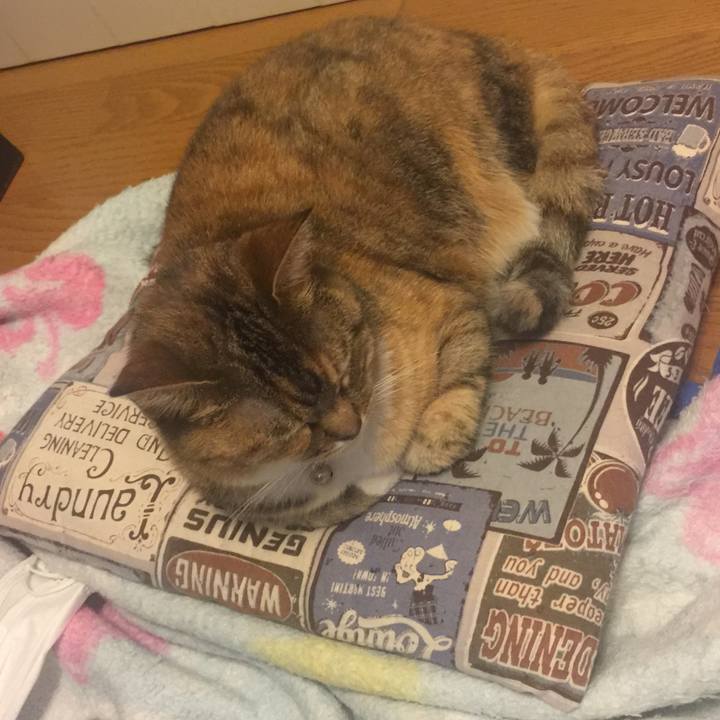 574dc3a7 b061 4176 90aa 5c61b7ad7a19 1559660605441