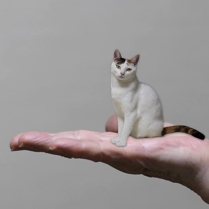 574e02a7 bb34 45f9 843d f6bf515918ee 1617319120308