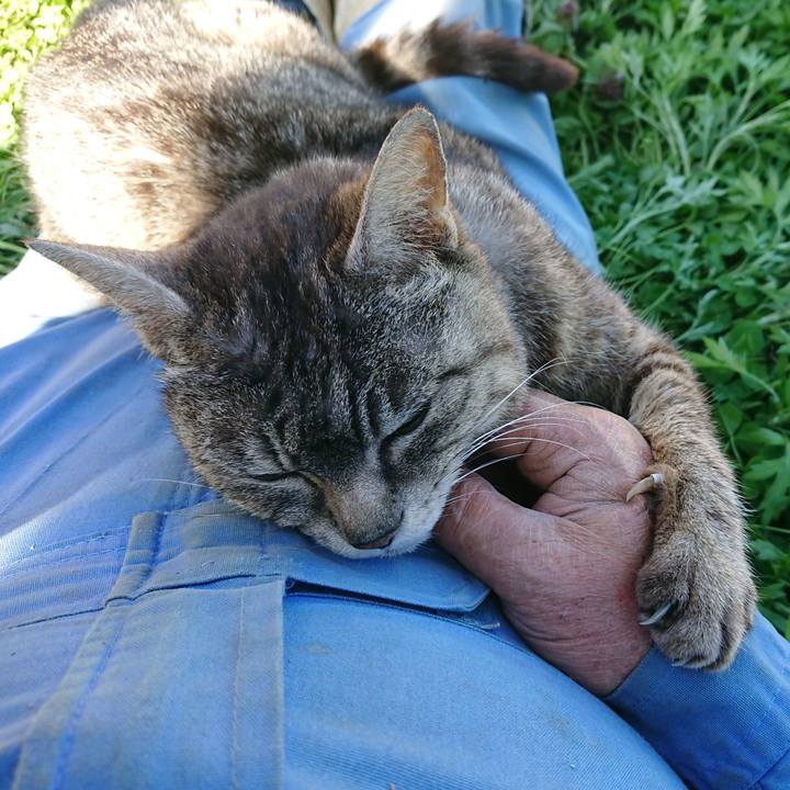 574e325f a33c 4112 8414 f831bce90b67 1556949562855