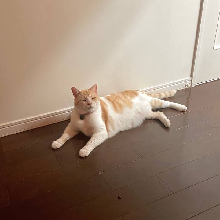 574e42f0 d2cb 44e2 90f7 2df68c712bc3 1751205064530