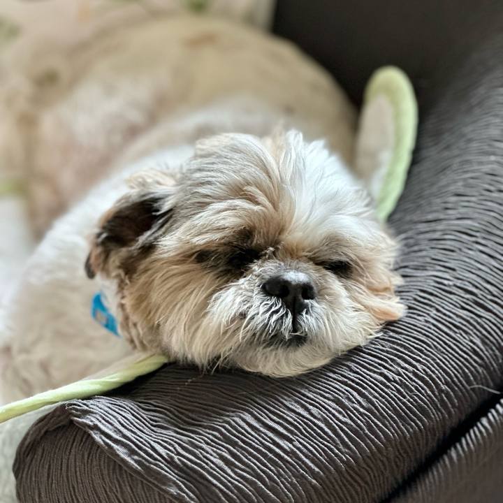 574e432e dbcd 4452 80c9 2f1b5bb30f1e 1685243503151