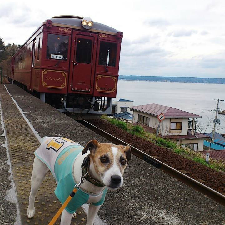 574e48b4 8649 4a0b a233 51f1d3564851 1565607683096