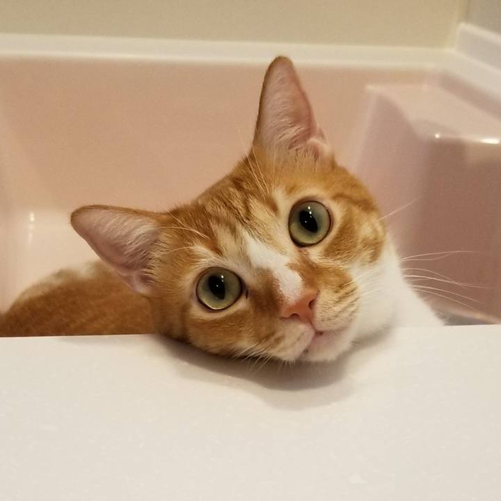 574e7943 fcf0 4596 b1b6 5504bd1ace04 1579445466000