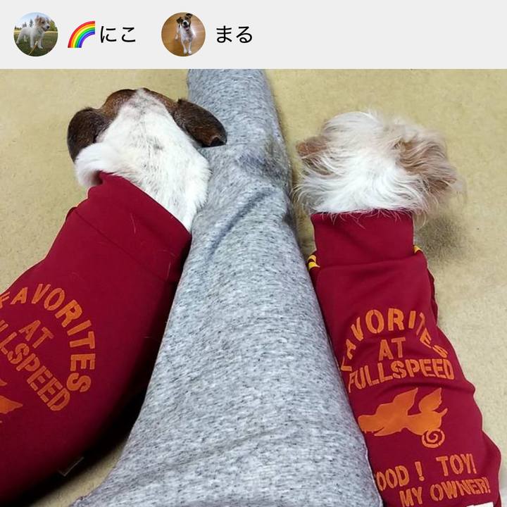 574e7b65 9114 4542 8120 9a0f38945c68 1736249106592