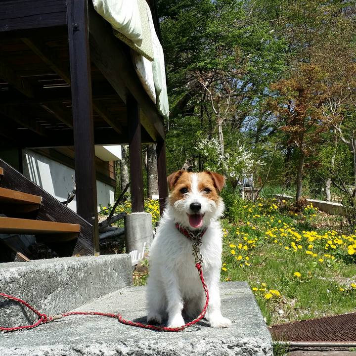 574e9a7f 5c4b 48e7 890e 8b330f420c27 1524968620859