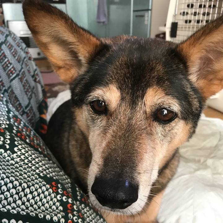 574ec19b 050e 4ea8 ba50 be42f61f6982 1510915235684