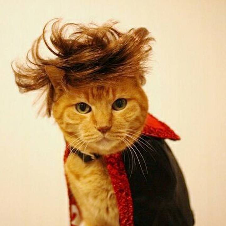 574ec9fd f789 4058 90da 2c9de403fd75 1543301229537